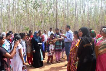 Field visit of trainees to Eucalyptus spp. clonal trials.