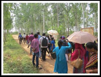 Stakeholders visiting clonal seed orchards of Eucalyptus sp.